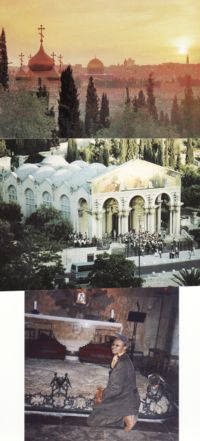 mt olives